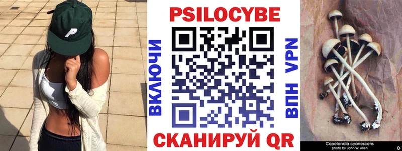 Псилоцибиновые грибы Cubensis  kraken зеркало  Любань 